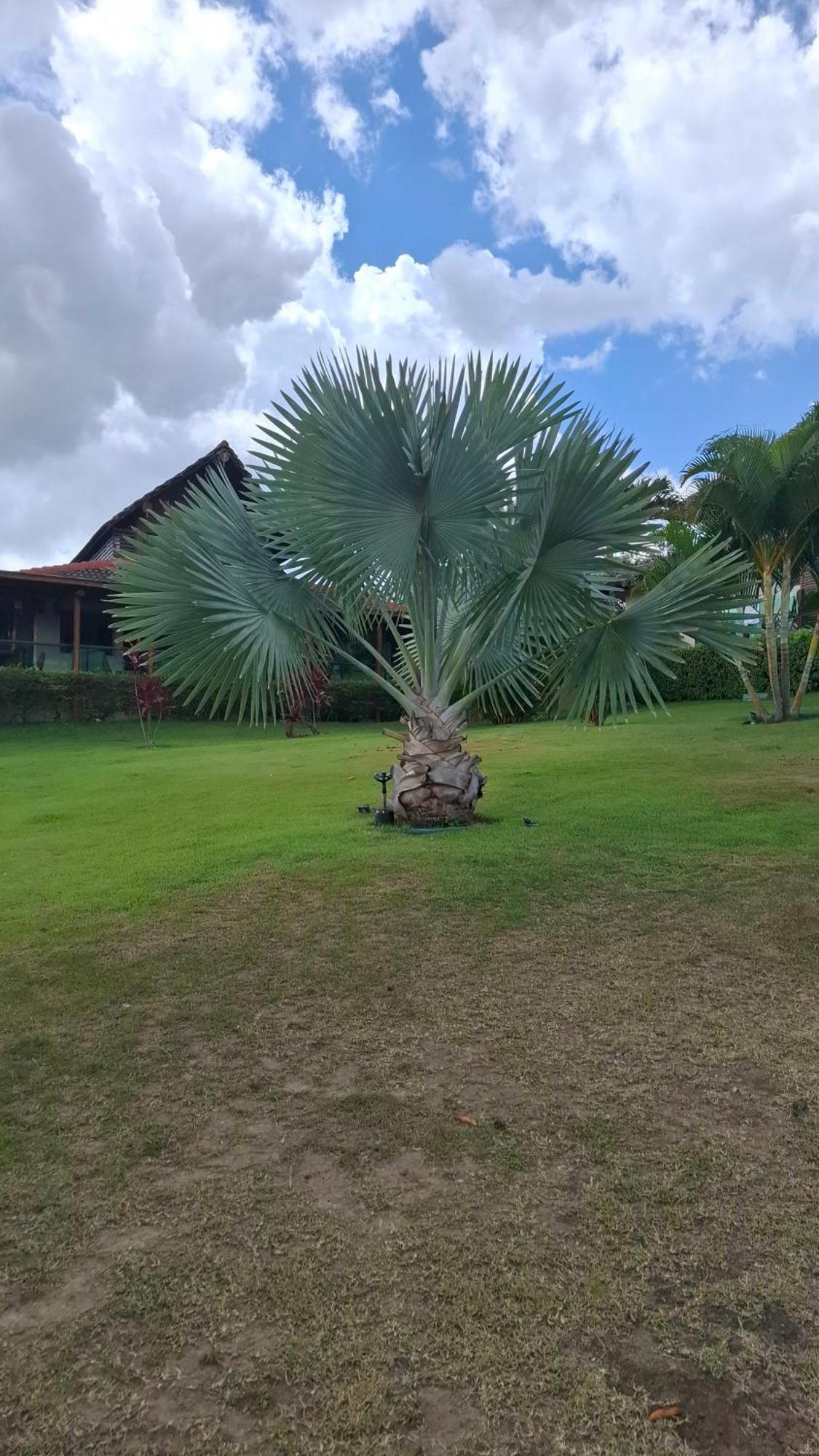 Flat 1003 para 8 pessoas no melhor de Gravatá Esterno foto
